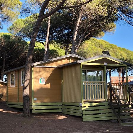 Camping La Tamarissiere 阿格德 外观 照片