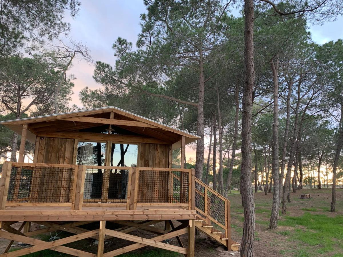 Camping La Tamarissiere 阿格德 外观 照片