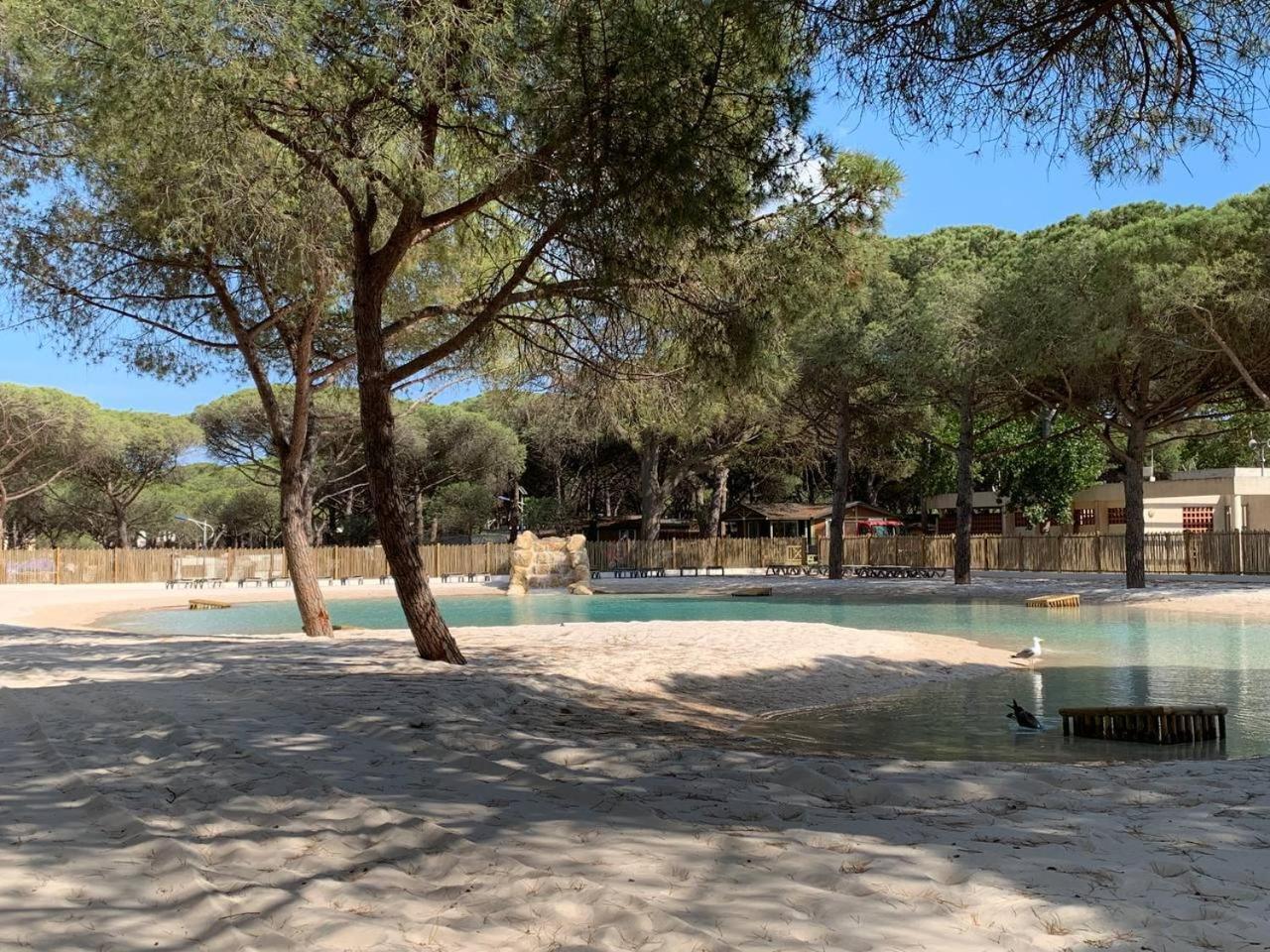Camping La Tamarissiere 阿格德 外观 照片